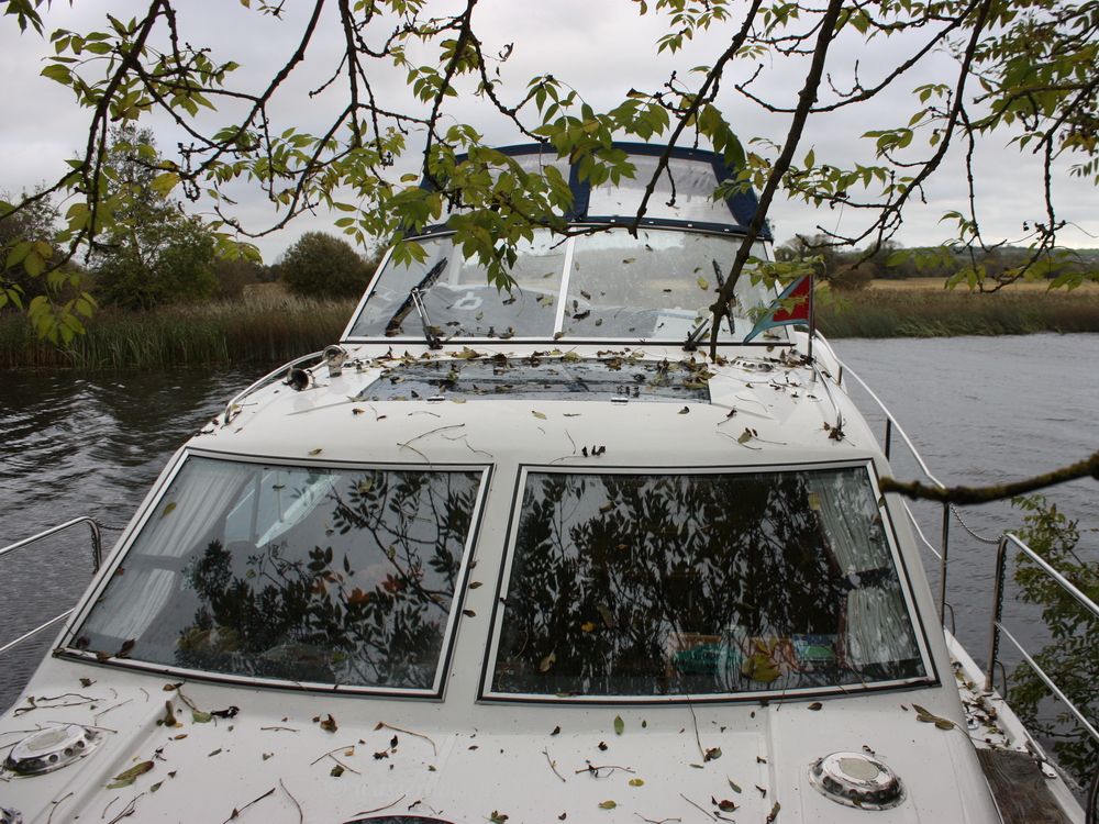 Leaves  on boat