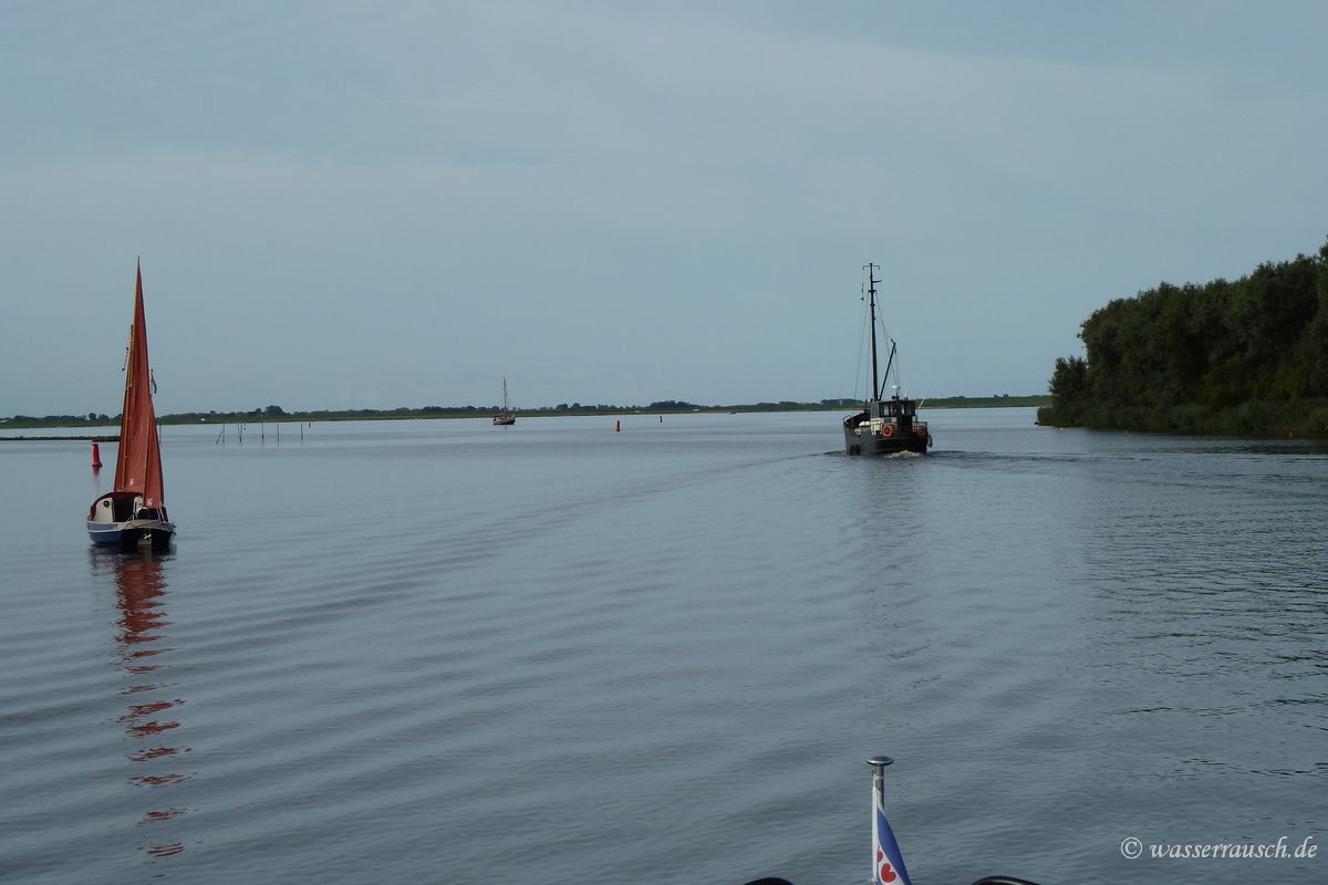 Calm Lauwersmeer