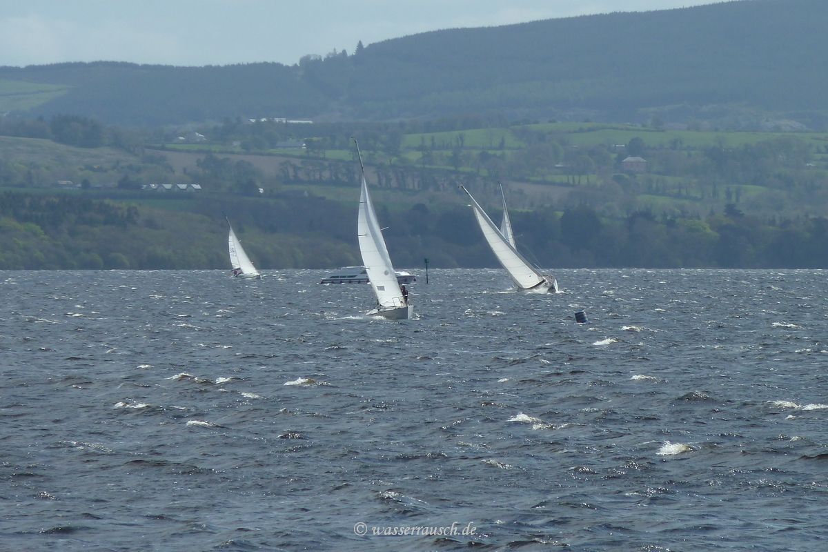Sailling race on Lough Derg
